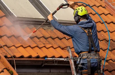 Démoussage et hydrofuge de toiture à Drevant